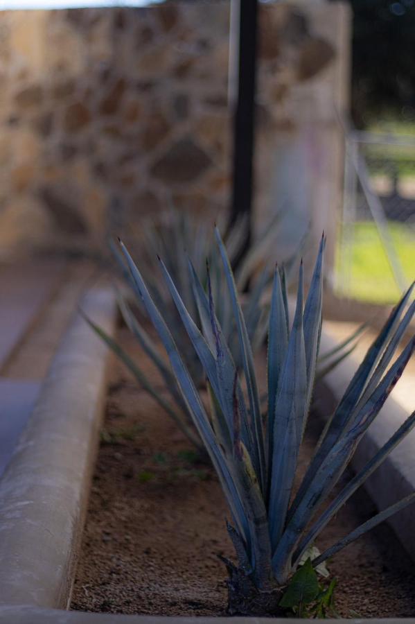 Catrina Valle - Ubicacion 10 Valle de Guadalupe Dış mekan fotoğraf
